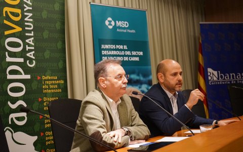 La jornada tècnica d'ASOPROVAC a l'Autoritat Portuària va reunir experts del sector. FOTO: CEDIDA.