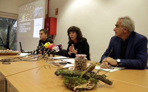 La consellera Jordà en un moment de la roda de premsa celebrada avui a Reus. FOTO: CEDIDA.