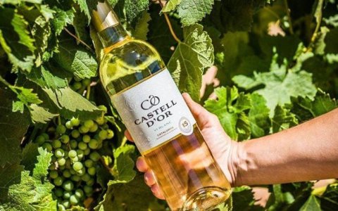 Una imatge dels nous vins de Castell d'Or. FOTO: CEDIDA.