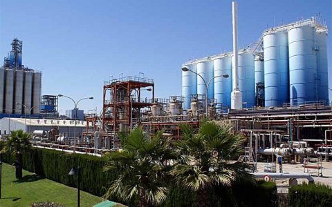 El 'site' de Dow a Tarragona es tansforma en un I - Value Park on hi conviuen tres empreses: Dow, DuPont i la coreana SK Globan Chemichals.