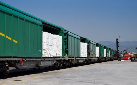 Un tren de mercaderies al Port de Tarragona. FOTO: CEDIDA.