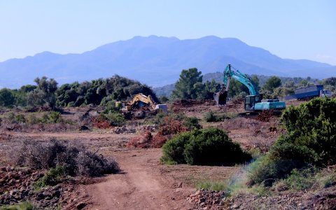 Les màquines ja treballen als terrenys que ocuparà l'empresa.