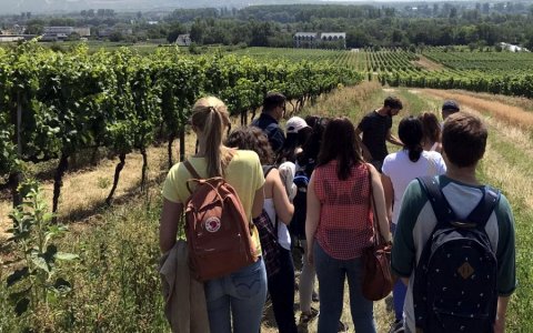 Estudiants de l'escola d'estiu de viticultura ecològica visitant les vinyes de la Universitat de Geisenheim, a Alemanya. FOTO: CEDIDA.