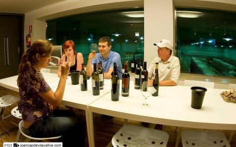 La winelover es una comunitat de periodistes, bloguers, professionals del món del vi i altres que actuen com a prescriptors en les destinacions enoturístiques. FOTO: CEDIDA.