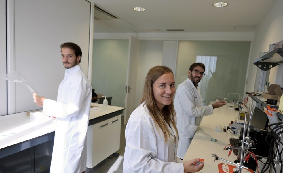 Els ‘spin offs’ de la URV com Creatsens troben en el Hub Emprenedor un espai de contacte amb altres empreses amb les que poden obrir vies de col·laboració. FOTO: XAVI JURIO.