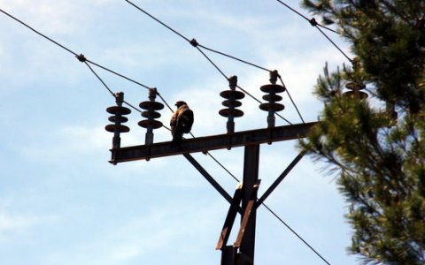 L'electricitat ha estat un dels serveis que més ha vist com han caigut els preus. FOTO: ACN.