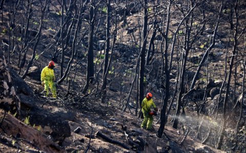 Una imatge d'un els incendis d'aquest estiu a la Ribera d'Ebre. FOTO: CEDIDA.