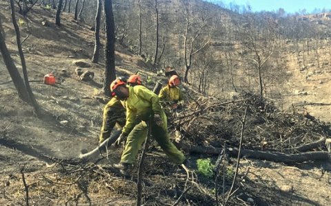 Uns operaris treballant dies després de l'incendi. FOTO: ACN.