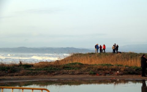 Una imatge dels desperfectes  a la platja de la Marquesa (Deltebre). FOTO: ACN.
