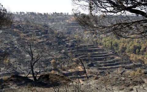 Una imatge de l'incendi de la Bovera. FOTO: CEDIDA.
