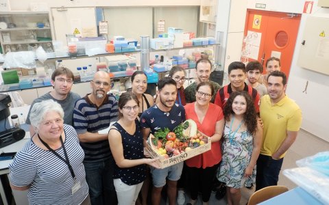 El grupo de investigación de Nutrigenómica, de la URV. FOTO: XAVI JURIO.