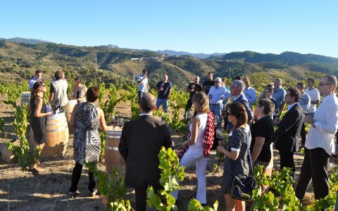 El turismo enológico es uno de los activos de la provincia de Tarragona. FOTO: CEDIDA.