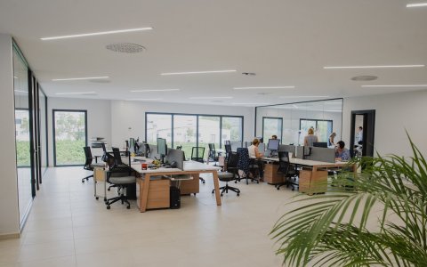 Una imatge d'una de les moltes pimes de la demarcació de Tarragona. FOTO: CEDIDA.