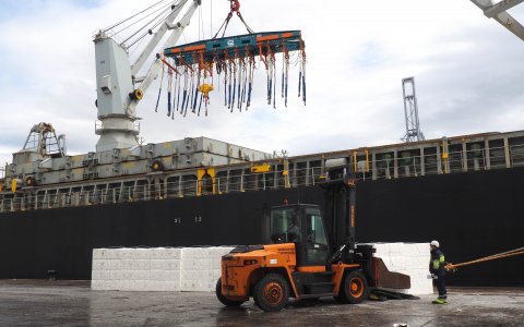 Una descàrrega al Port de Tarragona. FOTO: CEDIDA.