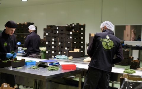 Hawofruits va apostar pel polígon Les Tàpies perquè disposava del gran espai que necessitaven.
