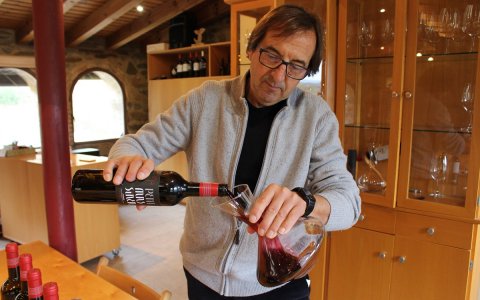 El celler sempre ha fet una aposta clara per l'agricultura ecològica.