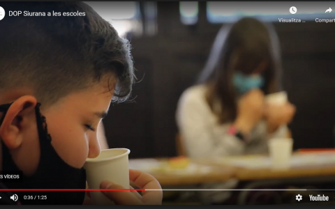 La campanya té com a objectiu que els alumnes de primària coneguin les característiques de l'oli d'oliva verge extra.
